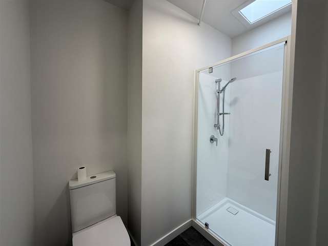 57 Mandeville Street Riccarton_4