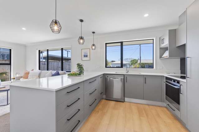 19 Hurdon Street New Plymouth_3