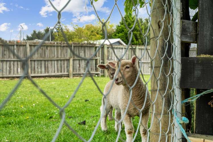 19 King Street Waimate_23