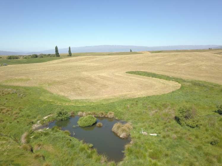 Nelsen Ridge Road, Waikerikeri Alexandra_8