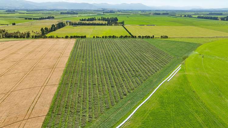 1051 Carleton Road Oxford_7