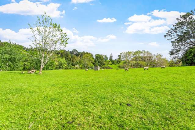 50 Hepburn Creek Road Warkworth_4