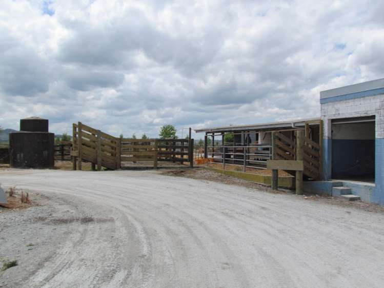 354 Access Road Ruawai_18