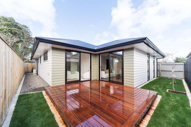 24a Alfred Street Roslyn_15