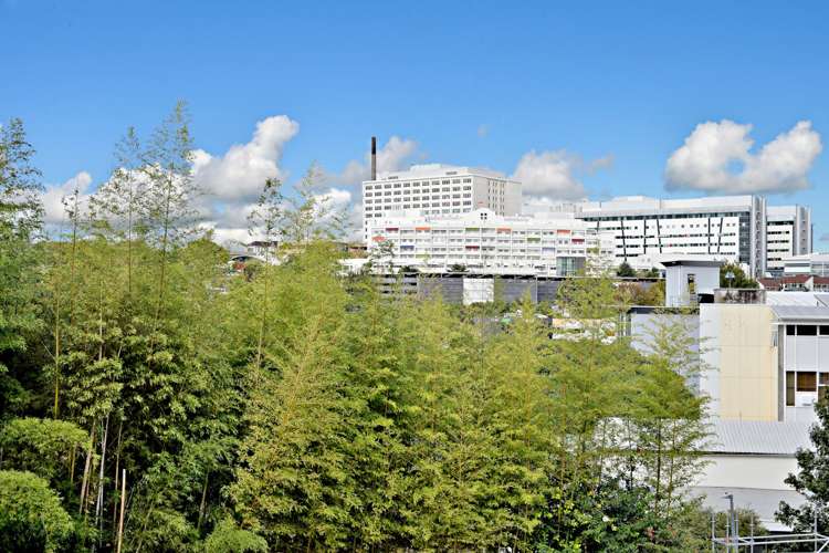 16/38 Symonds Street Grafton_10