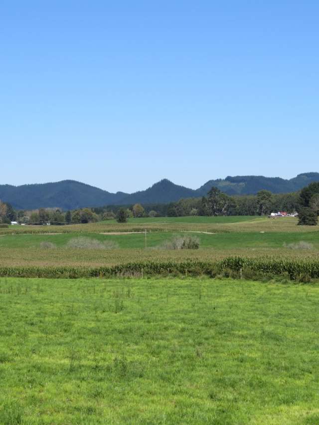 6261 State Highway 1 Kinleith_2