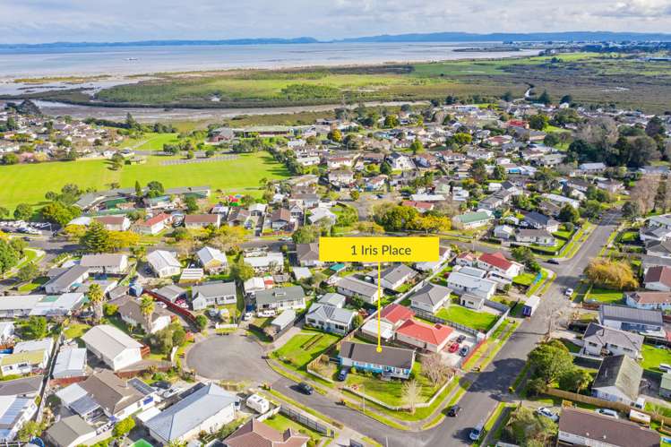 1 Iris Place Clendon Park_20