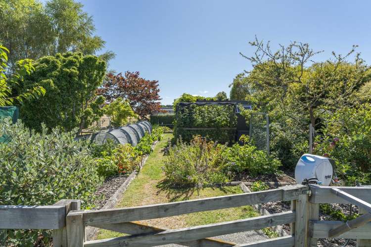 73 Montgomery Crescent Kinloch_7