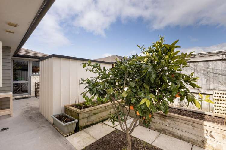 3/4 Greystone Place Omokoroa_22