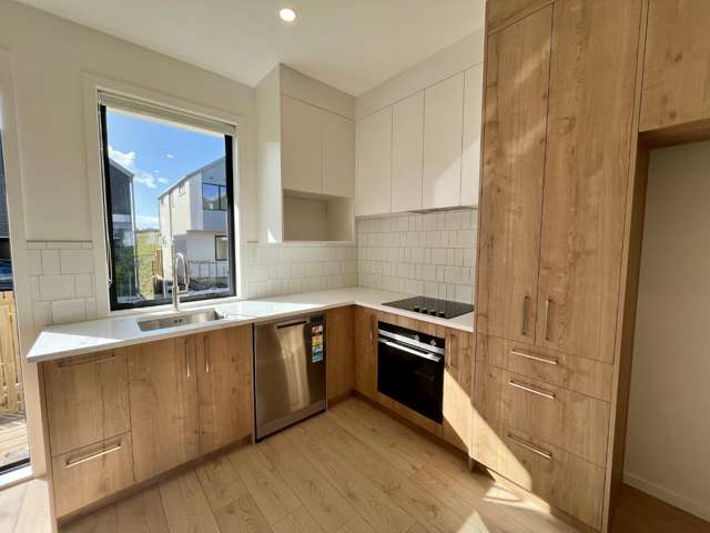 12/21 Makomako Drive 1627_2