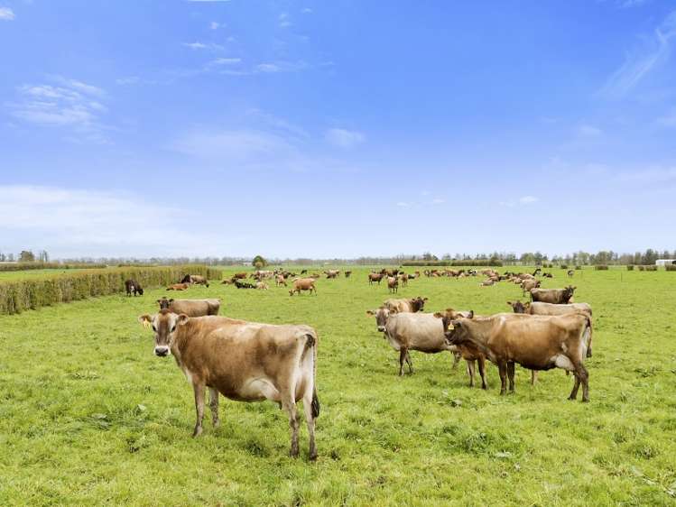 26 Schollum Road Eureka_1