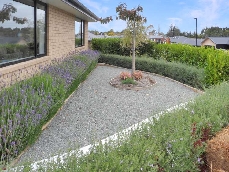 16a Clydesdale Drive Oamaru_17