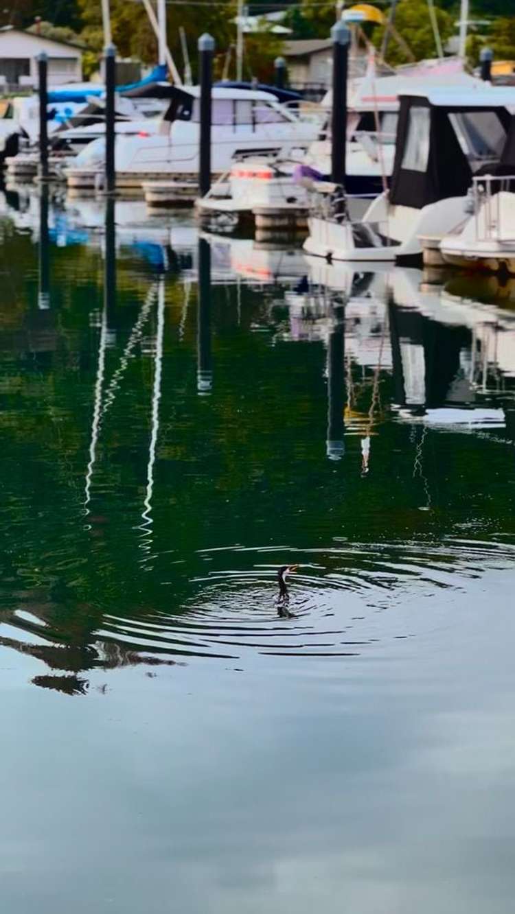 20 Rangimoana Avenue Motuoapa_10