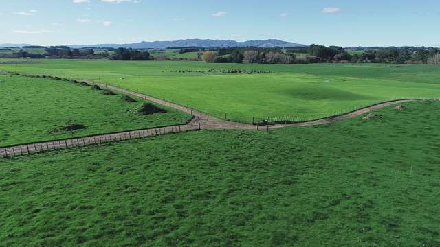 325 Reid Line East Bunnythorpe_2