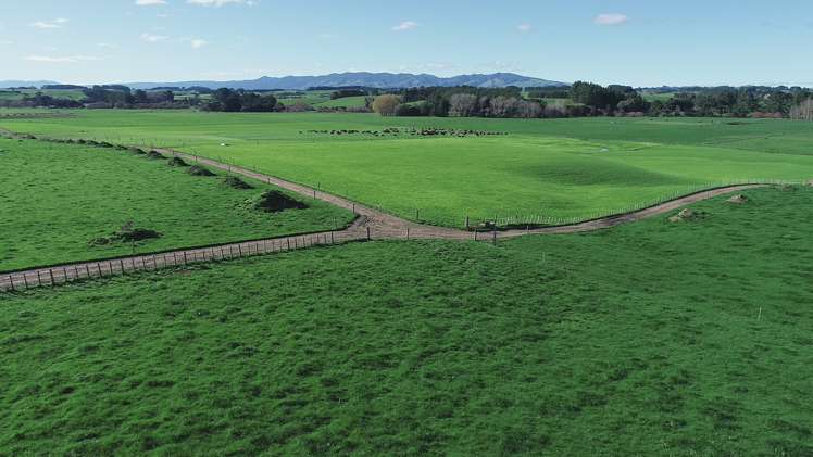 325 Reid Line East Bunnythorpe_2