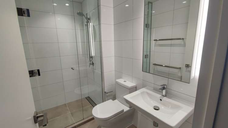 118/223a Green Lane West Auckland_9