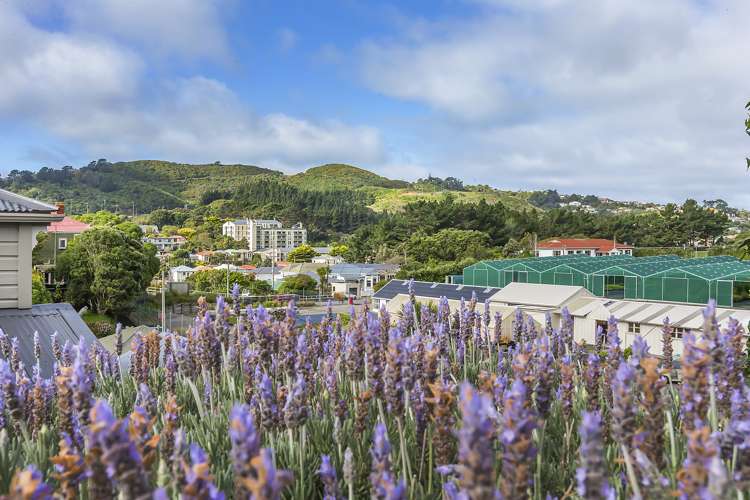 26 Emerson Street Berhampore_18