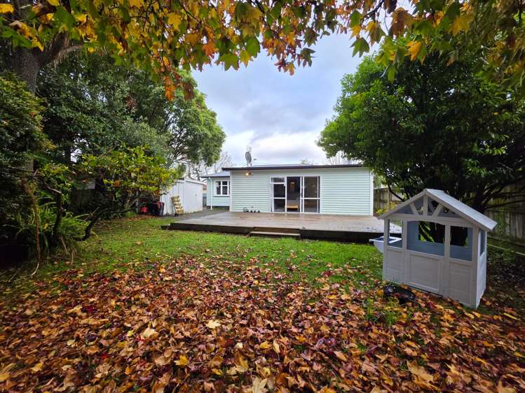 4 Gardener Street Levin_20