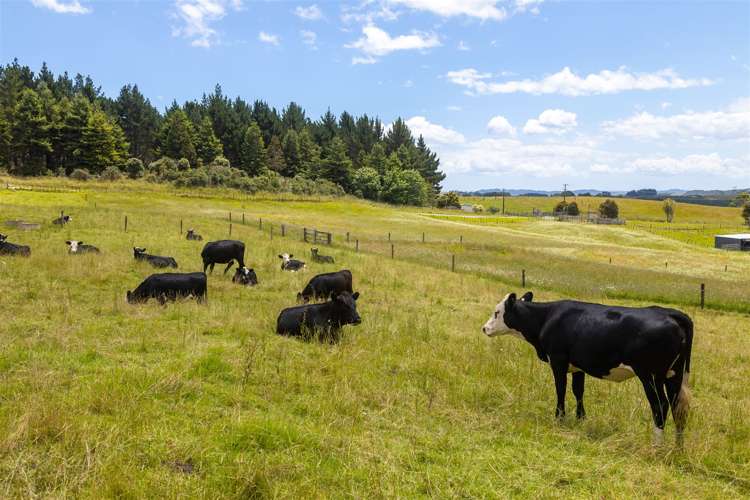 237 J V Grant Road Wellsford_24