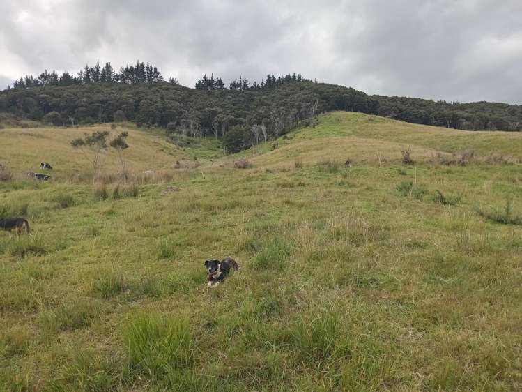 Lot 2 & 3/36 Te Moho Road Taipa_7