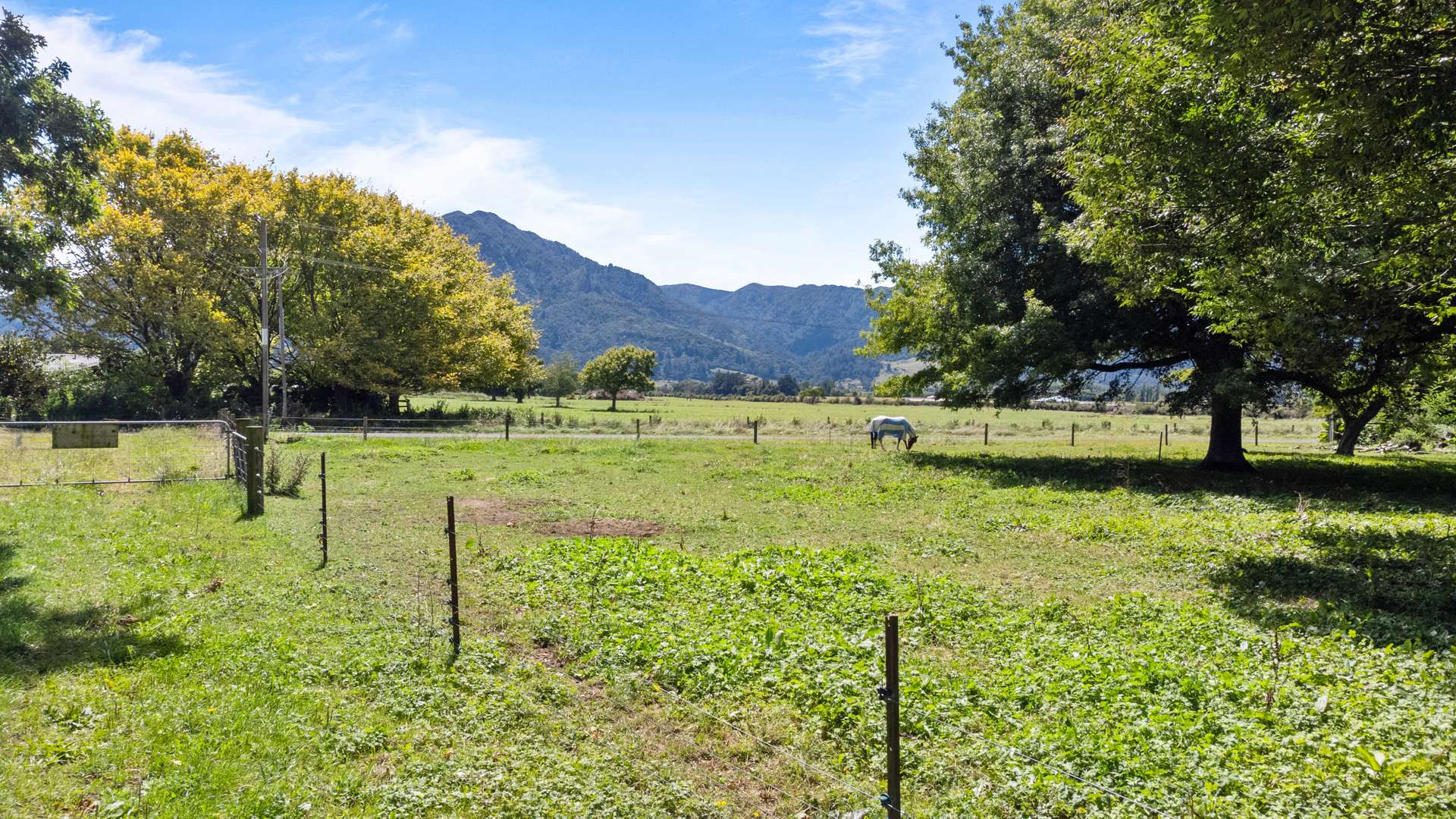 54 McKinley Road, Te Aroha West Te Aroha_0