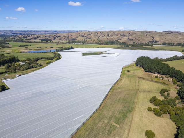 78 Gregs Lane, RD 1 Greytown_1