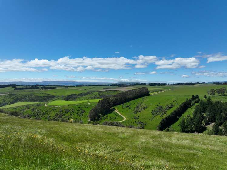 220 Mackay Road Tapanui_21