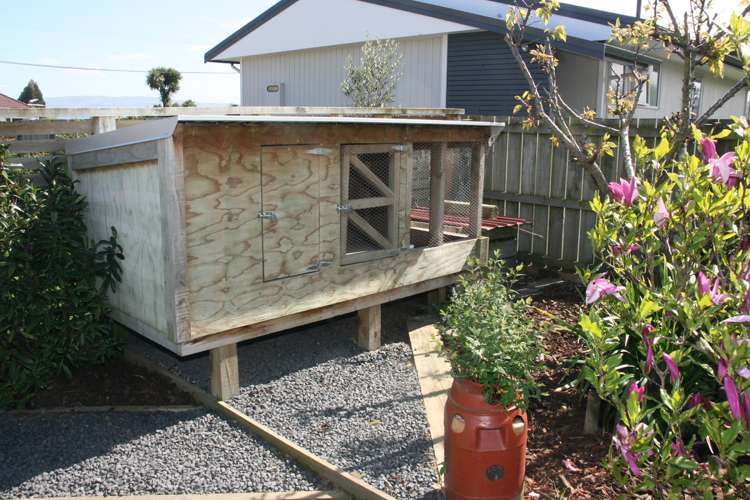 26 Wingatui Road Mosgiel_19