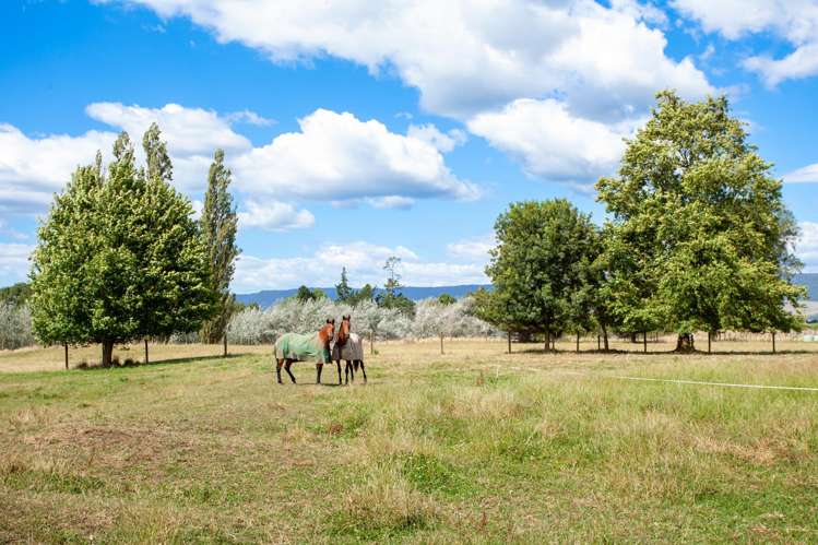 191 Taihoa South Road Matamata_30