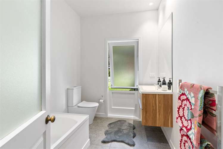 347 Horseshoe Bush Road Dairy Flat_11