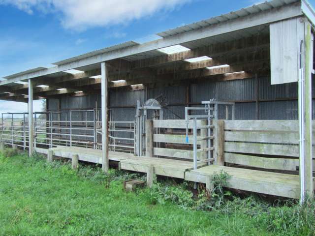 723 Papatotara Road Tuatapere_3