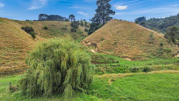 791B White Pine Bush Road Awakeri_41