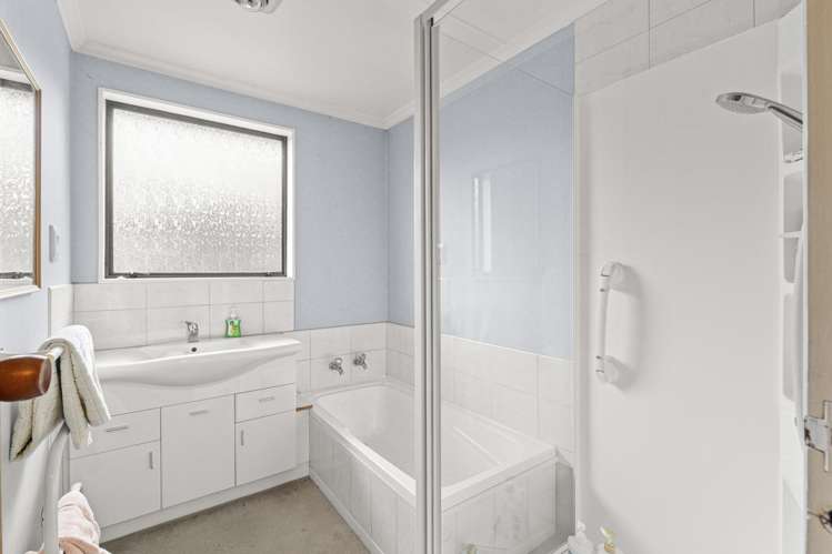 7 Pain Street Bulls_11