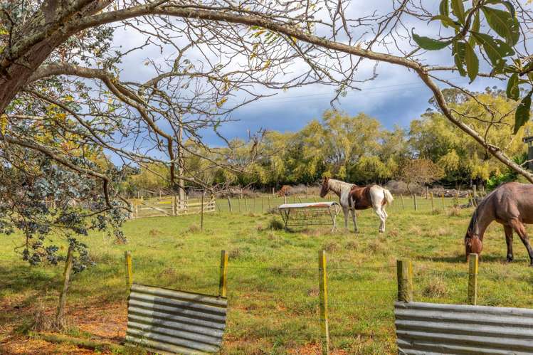 2379 Takapau Road Waipukurau_21