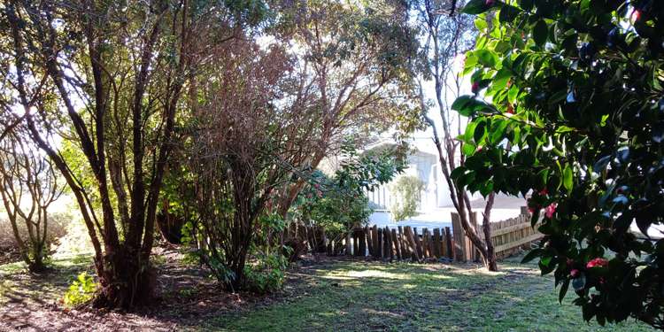 10 Harrison Street Featherston_14