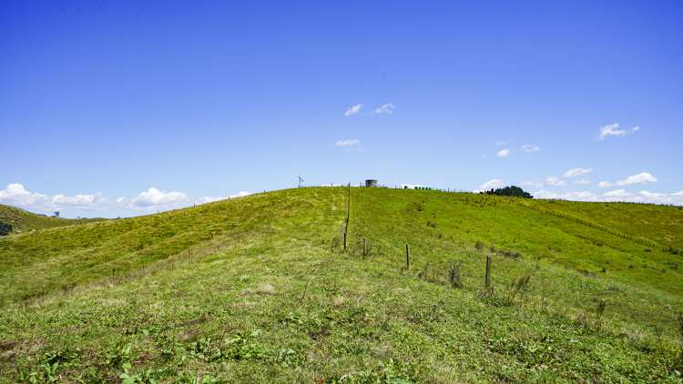 361 Martin Road Waerenga_13