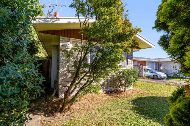 46 Karaka Crescent Levin_2