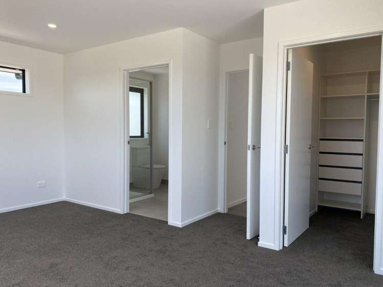 354 Whitehills Road Dairy Flat_11