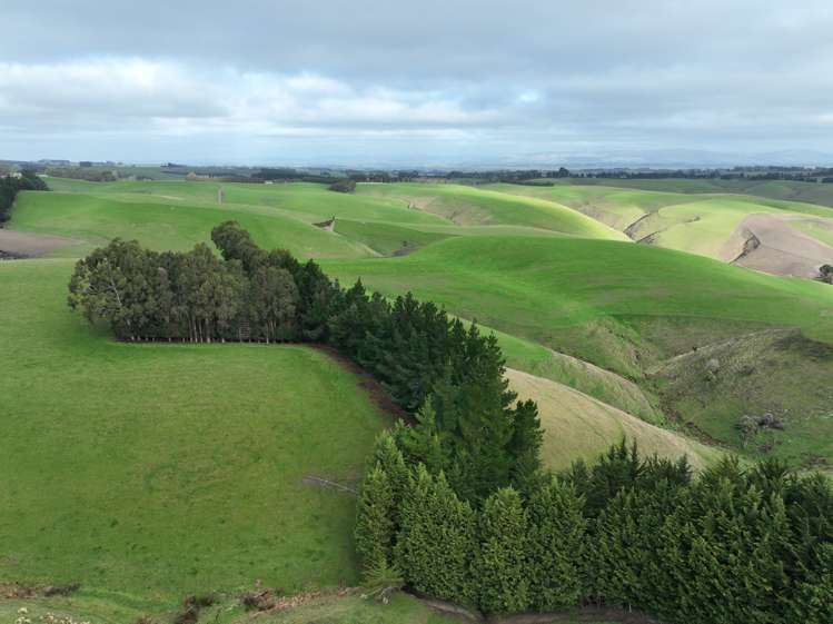 174 Mcculloch Road Balclutha_22