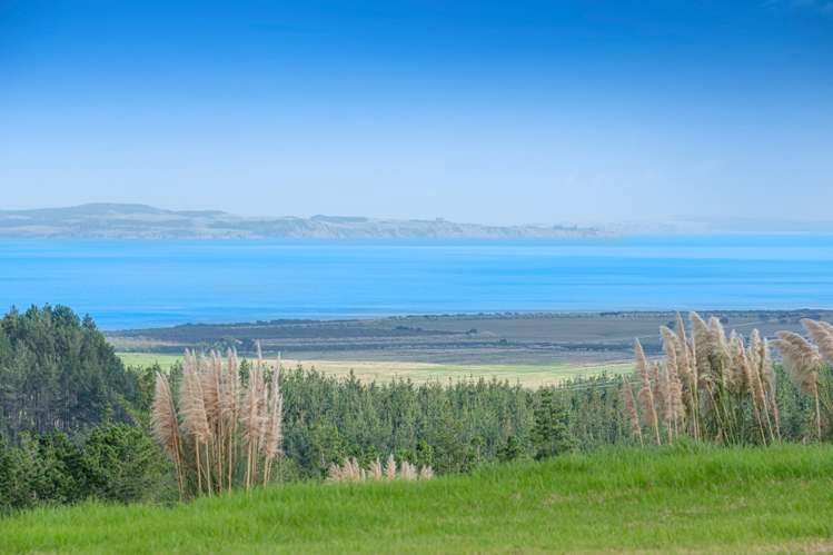 195 Tuhirangi Road Makarau_9