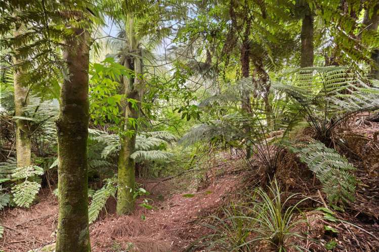 33f Glentui Lane Whatawhata_21