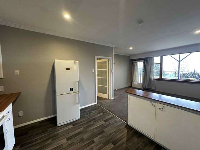 A/112 Stafford Street Dunedin Central_4