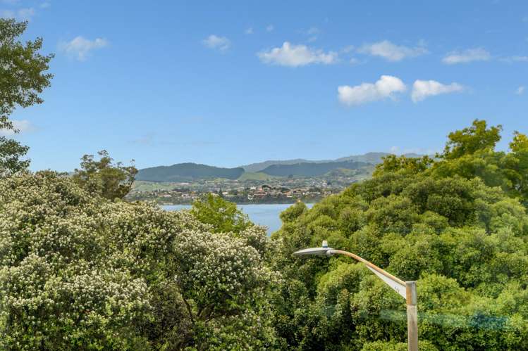 2/1 Ninth Avenue Tauranga Central_3