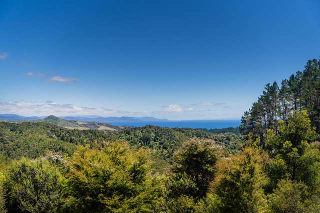590 Sh25 Kuaotunu-Wharekaho Road Kuaotunu_2