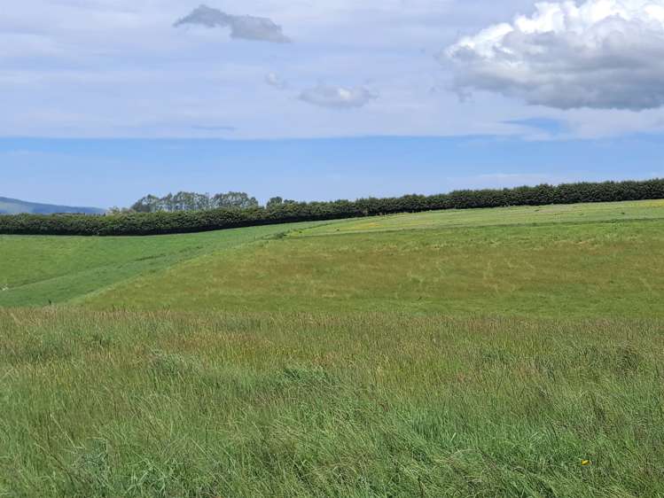 31 Birss Road Balclutha_25