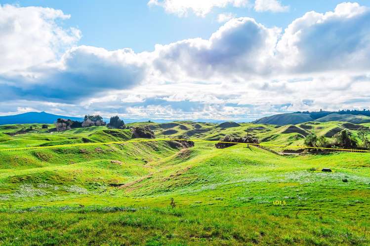 473 Otake Road Marotiri_19