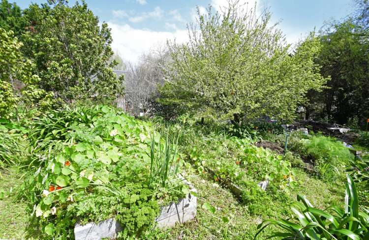 4 Windmill Lane Kaiwaka_7