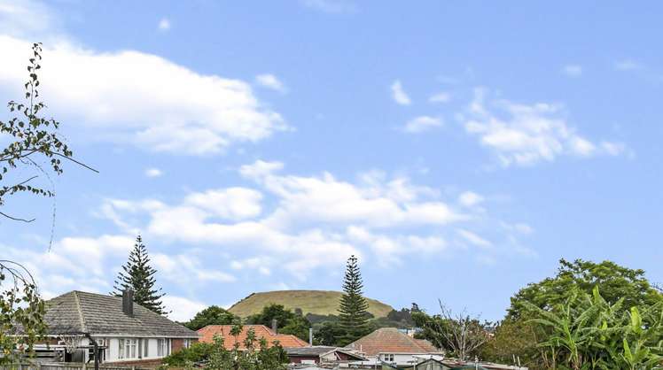 21a Coates Crescent Panmure_18