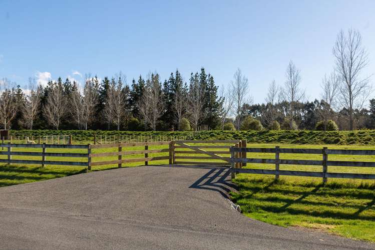 Governors Green Drive Greytown_6