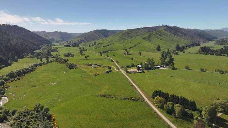 200 Upper Stanley Brook Stanley Brook_19